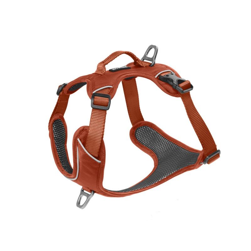 Kyflie Momentum sele XL