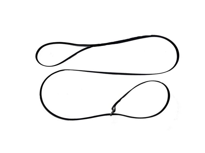 Hovedbilde Utstillingsbånd 6mm150cm flat med ring