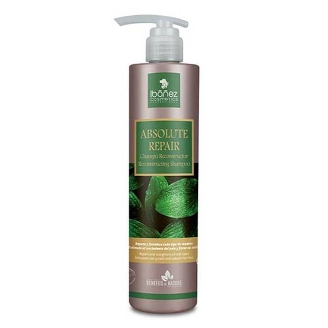Hovedbilde Ibanez Absolute Repair Shampoo 500ml